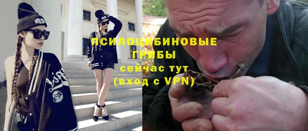 ПСИЛОЦИБИНОВЫЕ ГРИБЫ Абаза
