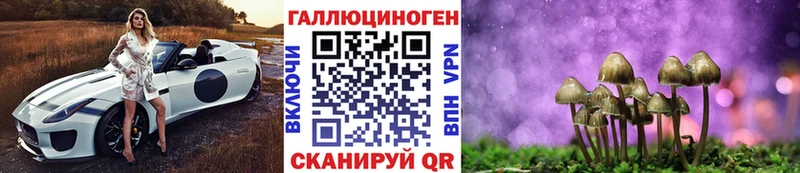 продажа наркотиков  Алапаевск  Псилоцибиновые грибы прущие грибы 